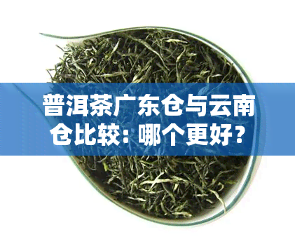 普洱茶广东仓与云南仓比较: 哪个更好？