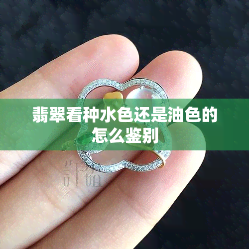 翡翠看种水色还是油色的怎么鉴别