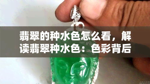 翡翠的种水色怎么看，解读翡翠种水色：色彩背后的宝石奥秘