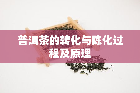 普洱茶的转化与陈化过程及原理