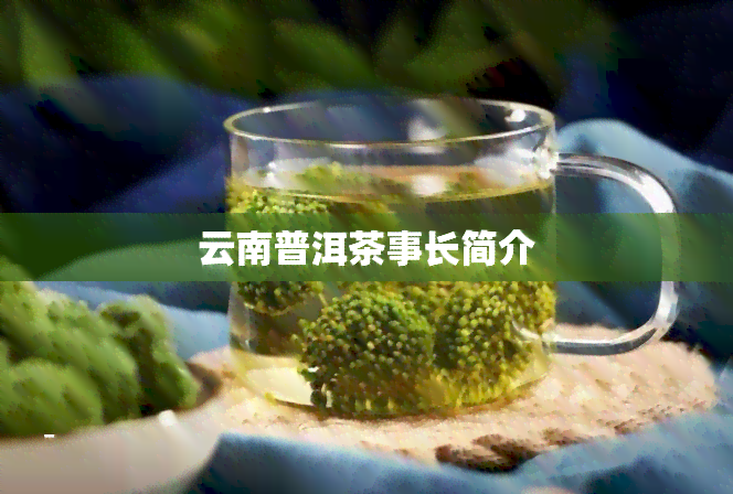 云南普洱茶事长简介