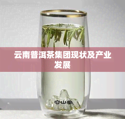 云南普洱茶集团现状及产业发展