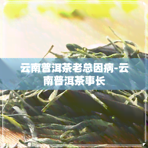 云南普洱茶老总因病-云南普洱茶事长