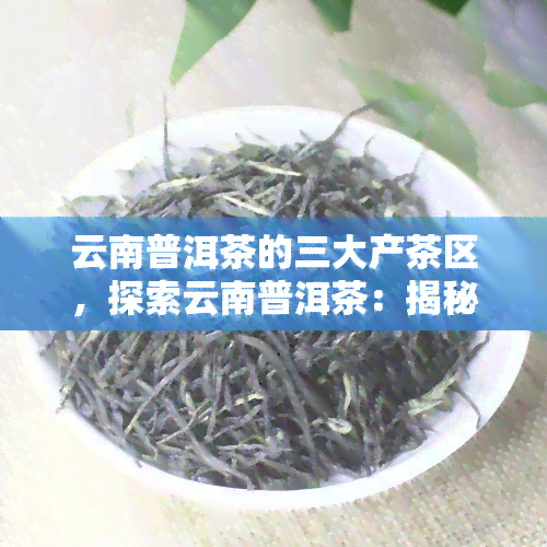 云南普洱茶的三大产茶区，探索云南普洱茶：揭秘三大产茶区