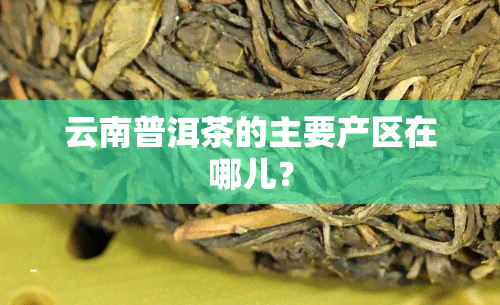 云南普洱茶的主要产区在哪儿？