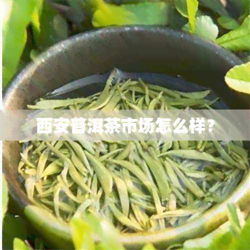 西安普洱茶市场怎么样？