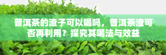 普洱茶的渣子可以喝吗，普洱茶渣可否再利用？探究其喝法与效益