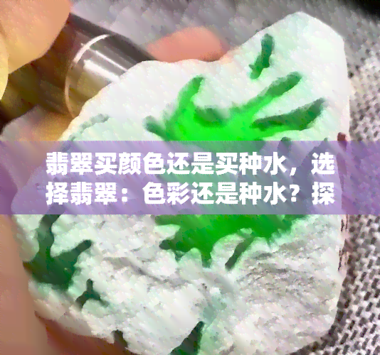 翡翠买颜色还是买种水，选择翡翠：色彩还是种水？探寻更佳购买指南