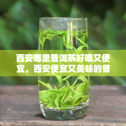 西安哪里普洱茶好喝又便宜，西安便宜又美味的普洱茶之寻