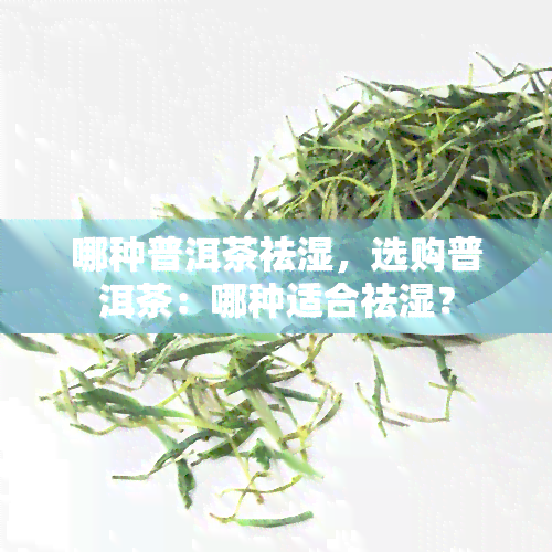 哪种普洱茶祛湿，选购普洱茶：哪种适合祛湿？