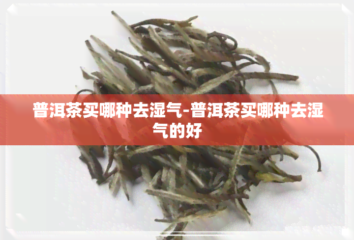 普洱茶买哪种去湿气-普洱茶买哪种去湿气的好