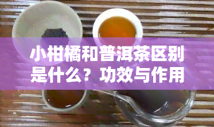 小柑橘和普洱茶区别是什么？功效与作用是熟茶吗？