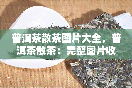 普洱茶散茶图片大全，普洱茶散茶：完整图片收藏大公开！