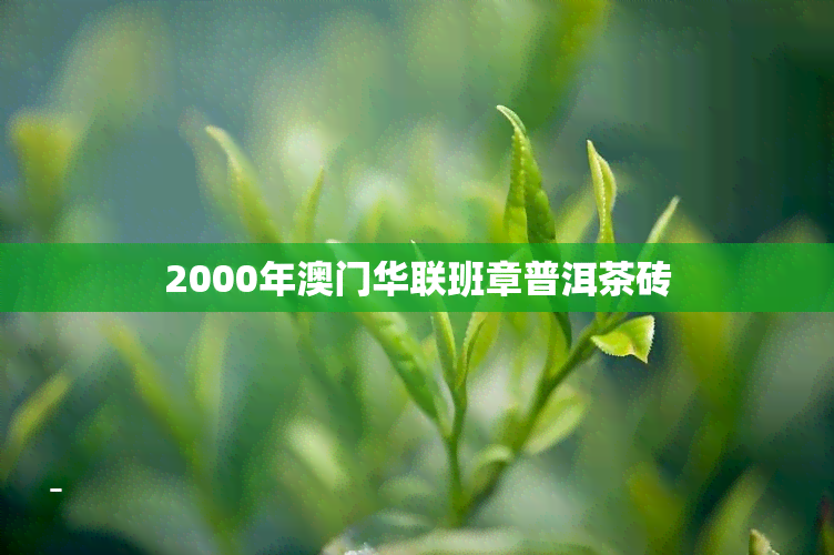 2000年华联班章普洱茶砖