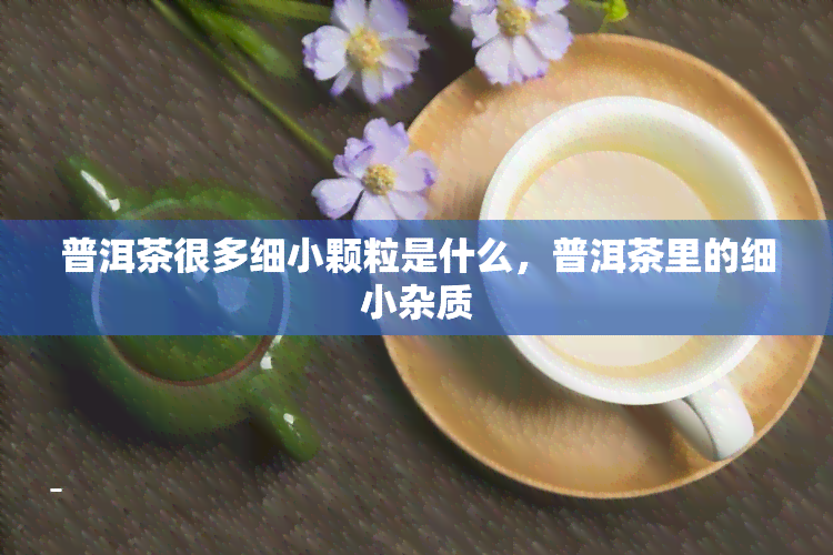 普洱茶很多细小颗粒是什么，普洱茶里的细小杂质