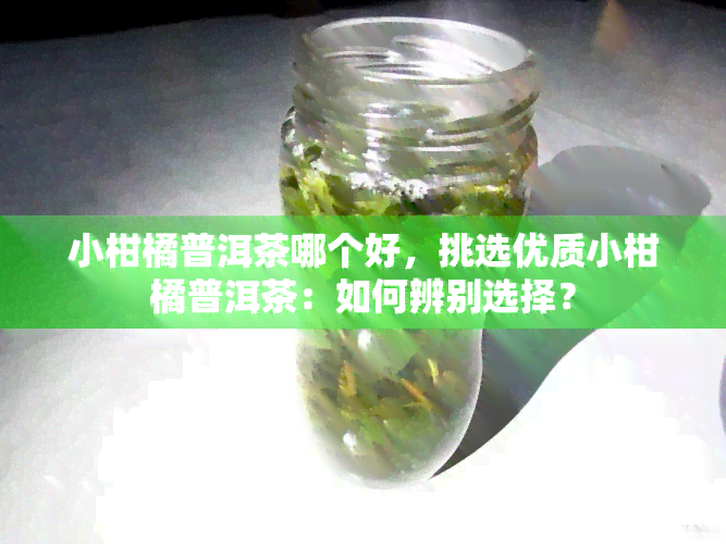 小柑橘普洱茶哪个好，挑选优质小柑橘普洱茶：如何辨别选择？