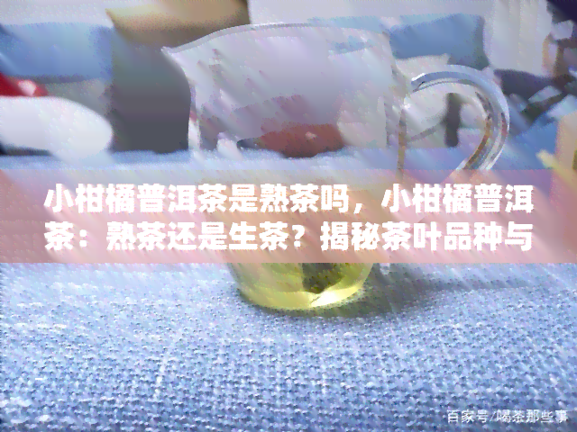 小柑橘普洱茶是熟茶吗，小柑橘普洱茶：熟茶还是生茶？揭秘茶叶品种与加工工艺