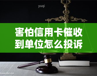 害怕信用卡到单位怎么投诉，如何投诉信用卡到单位的行为？学会有效应对