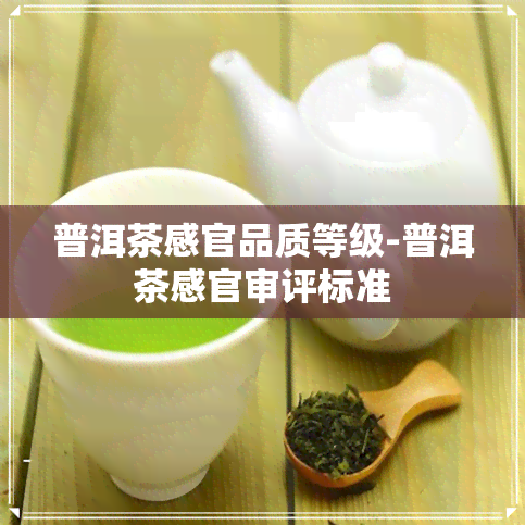 普洱茶感官品质等级-普洱茶感官审评标准