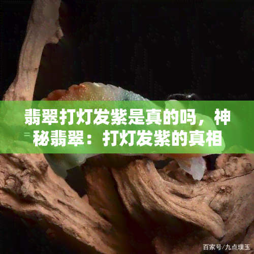 翡翠打灯发紫是真的吗，神秘翡翠：打灯发紫的真相揭秘