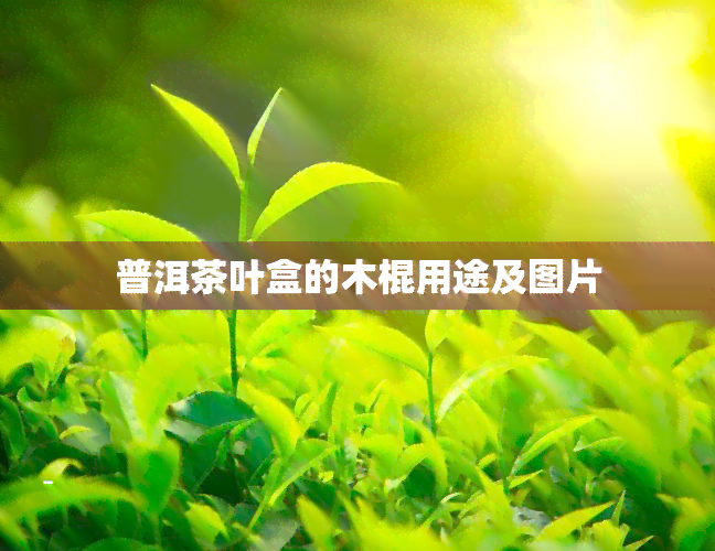 普洱茶叶盒的木棍用途及图片