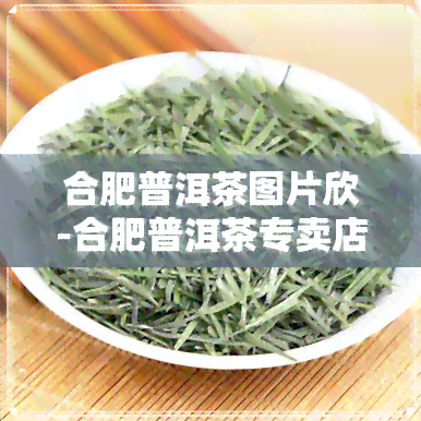 合肥普洱茶图片欣-合肥普洱茶专卖店