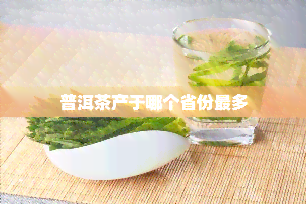 普洱茶产于哪个省份最多