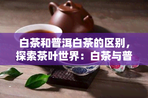 白茶和普洱白茶的区别，探索茶叶世界：白茶与普洱白茶的异同