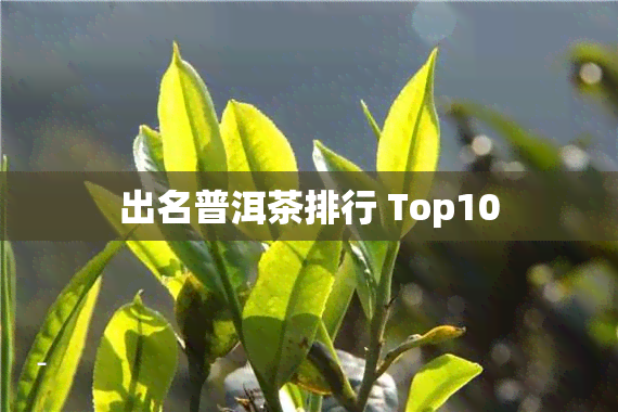 出名普洱茶排行 Top10