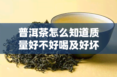 普洱茶怎么知道质量好不好喝及好坏