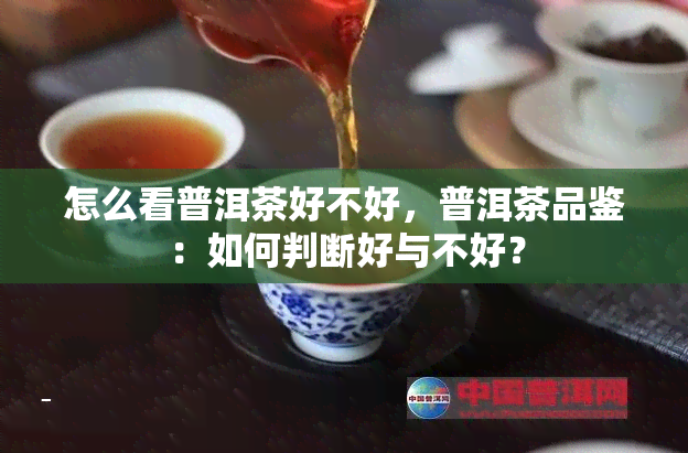 怎么看普洱茶好不好，普洱茶品鉴：如何判断好与不好？