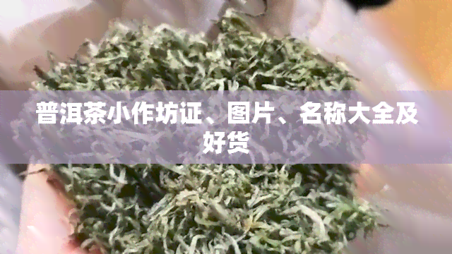 普洱茶小作坊证、图片、名称大全及好货