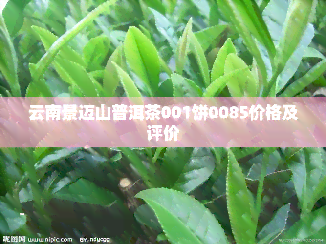 云南景迈山普洱茶001饼0085价格及评价