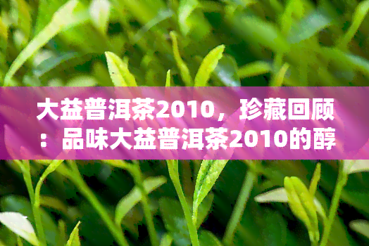 大益普洱茶2010，珍藏回顾：品味大益普洱茶2010的醇香岁月