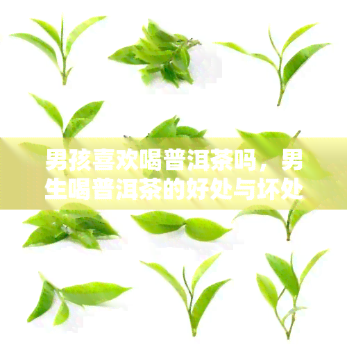 男孩喜欢喝普洱茶吗，男生喝普洱茶的好处与坏处