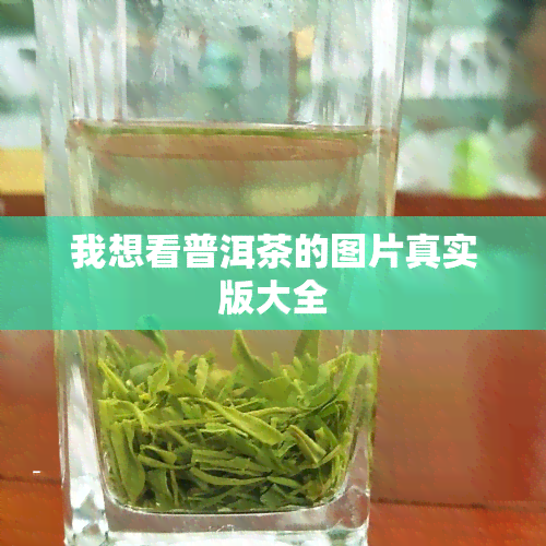 我想看普洱茶的图片真实版大全