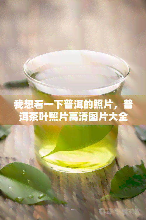 我想看一下普洱的照片，普洱茶叶照片高清图片大全