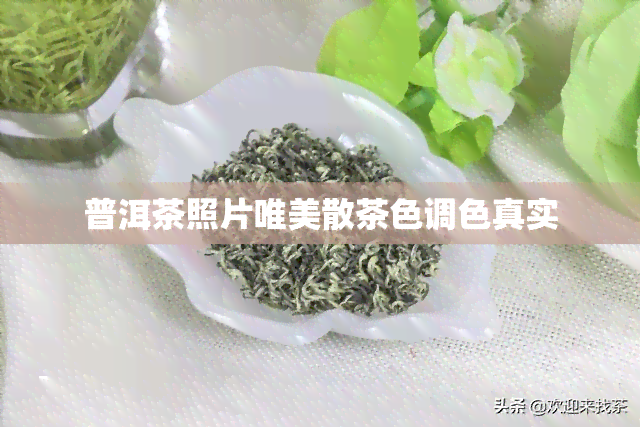 普洱茶照片唯美散茶色调色真实