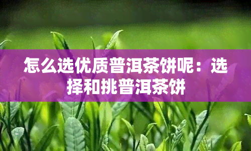 怎么选优质普洱茶饼呢：选择和挑普洱茶饼