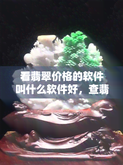 看翡翠价格的软件叫什么软件好，查翡翠价格的网站