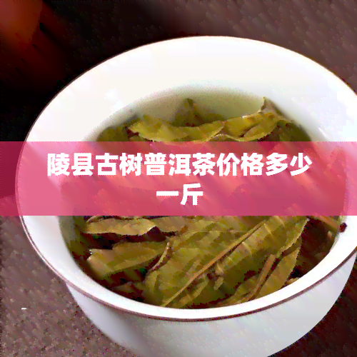 陵县古树普洱茶价格多少一斤