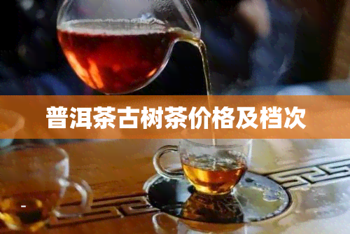 普洱茶古树茶价格及档次