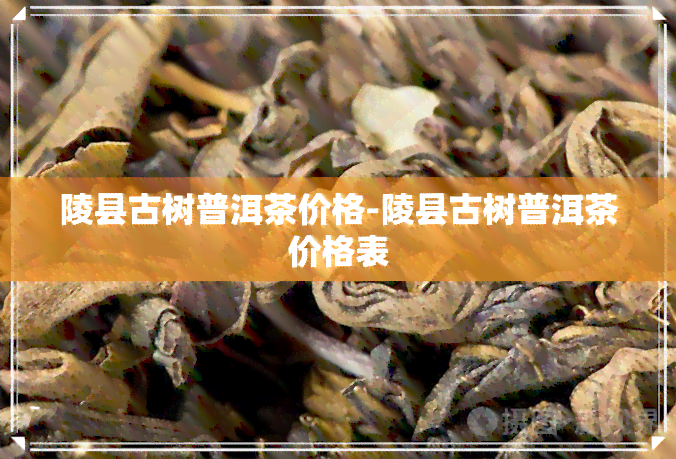 陵县古树普洱茶价格-陵县古树普洱茶价格表