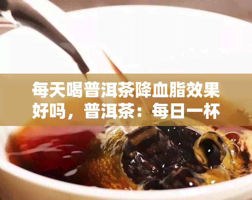 每天喝普洱茶降血脂效果好吗，普洱茶：每日一杯，降血脂的神奇效果？