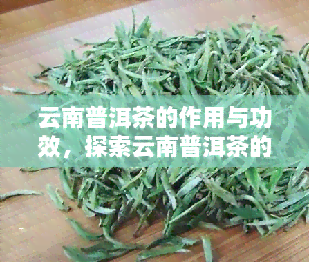 云南普洱茶的作用与功效，探索云南普洱茶的神奇功效：健与益处全解析