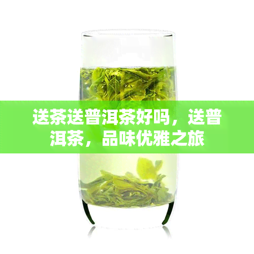 送茶送普洱茶好吗，送普洱茶，品味优雅之旅