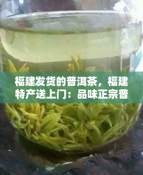 福建发货的普洱茶，福建特产送上门：品味正宗普洱茶，尽在您的茶杯中！