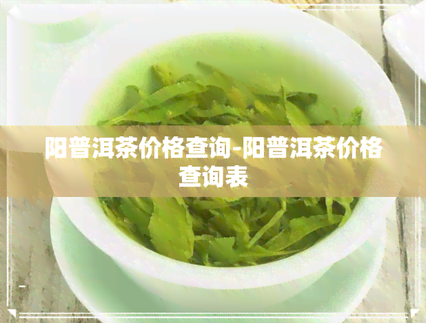 阳普洱茶价格查询-阳普洱茶价格查询表