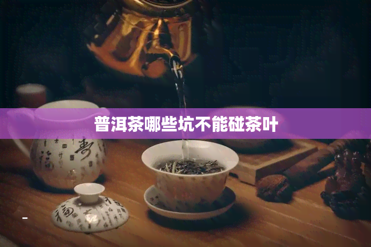 普洱茶哪些坑不能碰茶叶