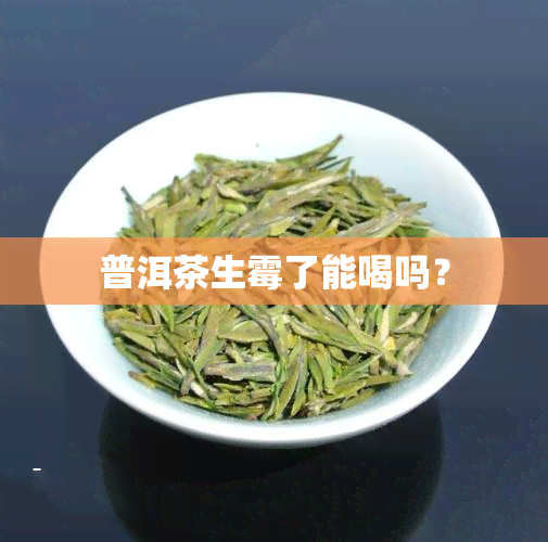 普洱茶生霉了能喝吗？